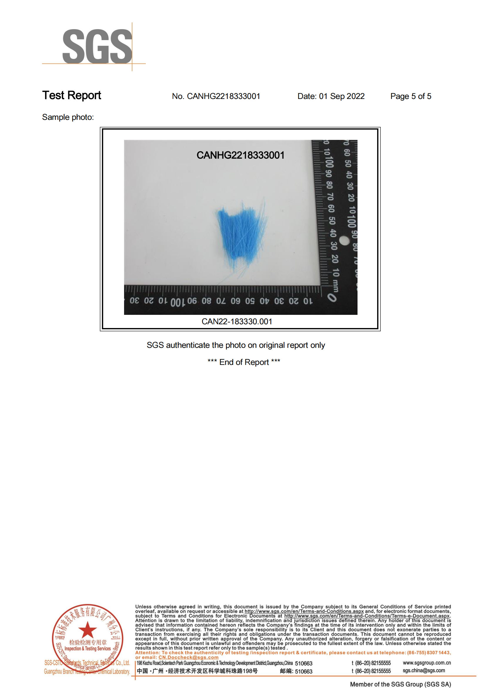 Bristles SGS test report_04(1)