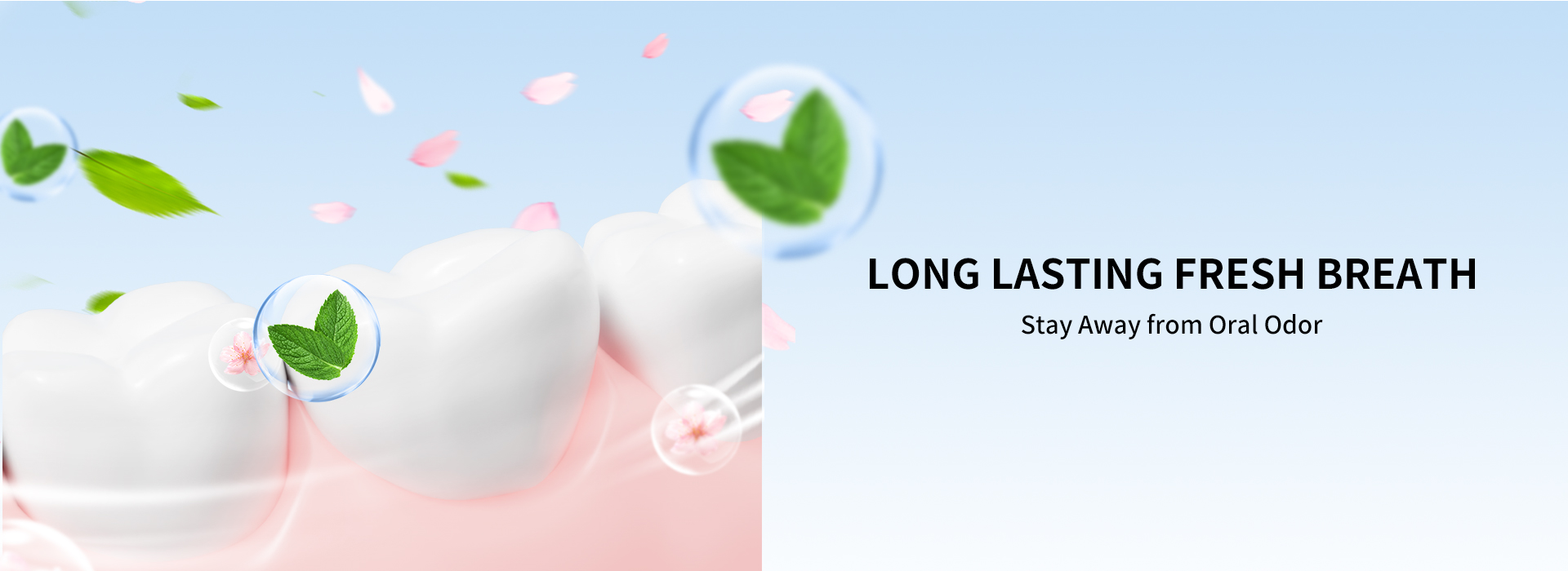 Tooth Powder (10)